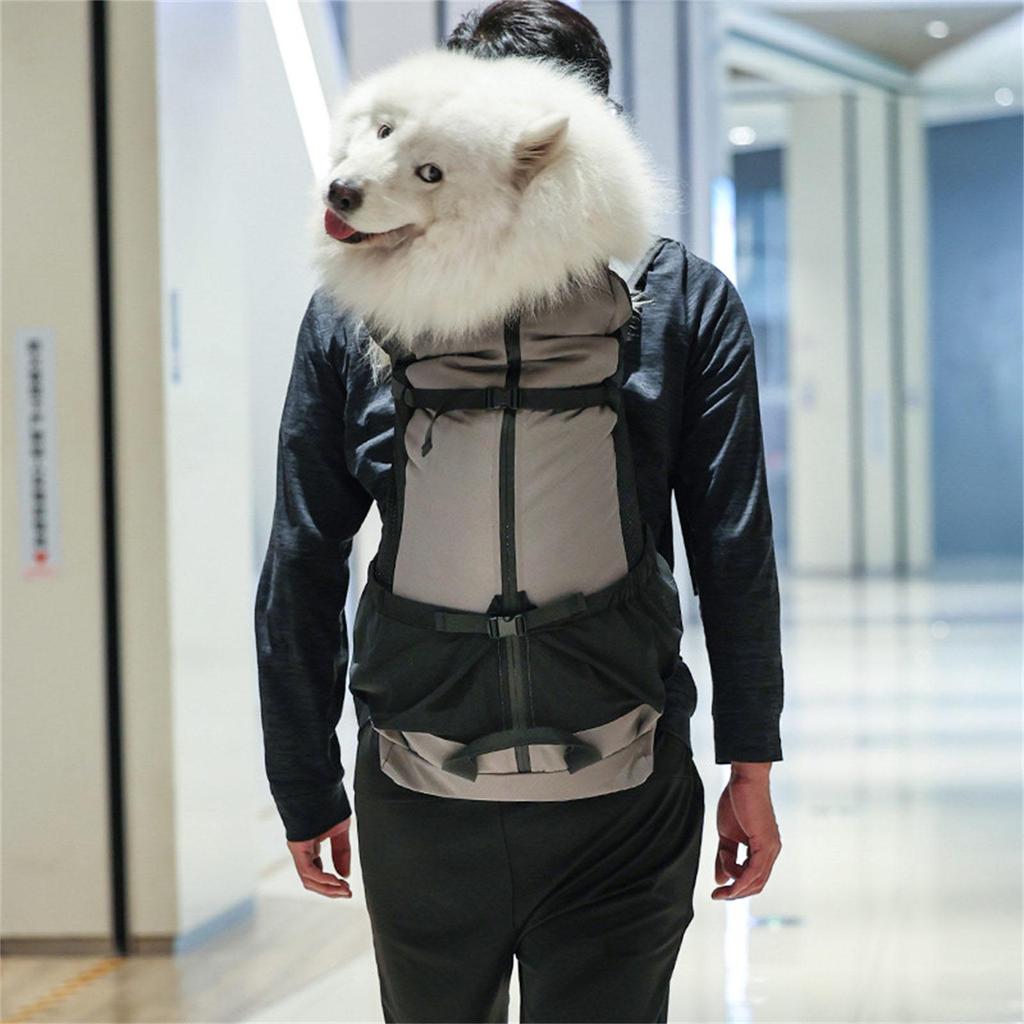 Water Resistant Dog Carrier Backpacks Durability Large Cat Carrying Bag for Other Outdoor Activity