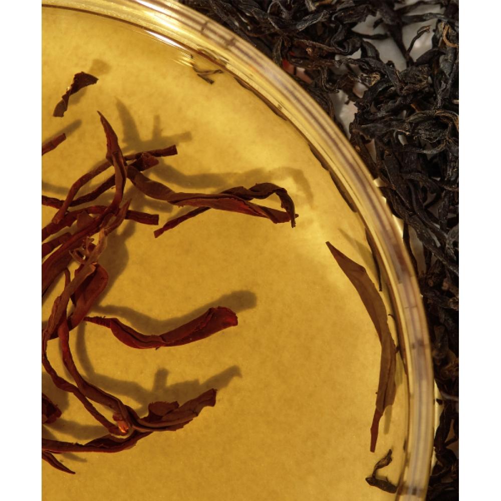 Kaine Balancing Ampullen Toner 150ml