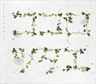 

CD RIMI NATSUKAWA - Kokoro Tsutae VICL35745 Japan ObiJapanese Pop/Rock Used