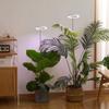 Plant Grow Light Floor Lamp Full Spectrum Sunlight Large Potted Plant Fill Light 3 9 12 Hours Timing 10 Levels Dimming
