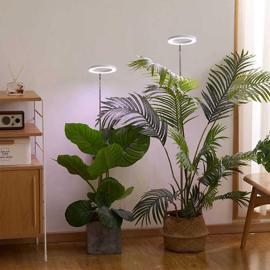 Plant Grow Light Floor Lamp Full Spectrum Sunlight Large Potted Plant Fill Light 3 9 12 Hours Timing 10 Levels Dimming