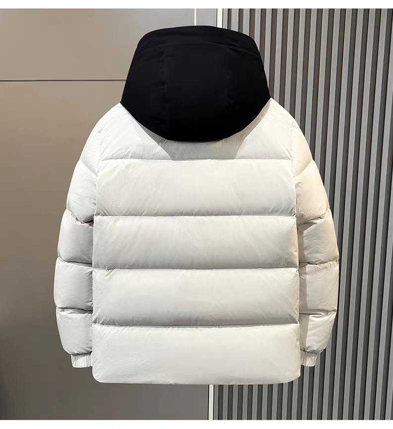 Men's Winter Fashion Stand Collar Windproof White Duck Down Jacket