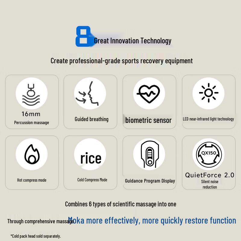 Перкусійний масажер Theragun G6 PRO Plus