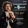 LP Record LUDWIG GUTTLER  Telemann Baldassari Torelli Albi 299222 Capriccio 1982 Germany Classical Used