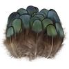40/48Pcs 6 Styles Natural Feathers Bulk Long Pheasant Plumage Beautifully Mixed Feathers  DIY Crafts