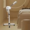 800W Professional Ozone Facial Steamer Spa Salon Face Sauna Skin Care Steam Machine Beautiful Cold Spraying Machine