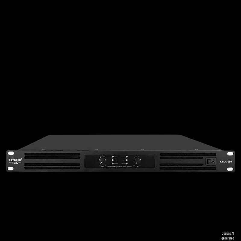 

KaYouLa High-Power Dual-Channel Digital Amplifier