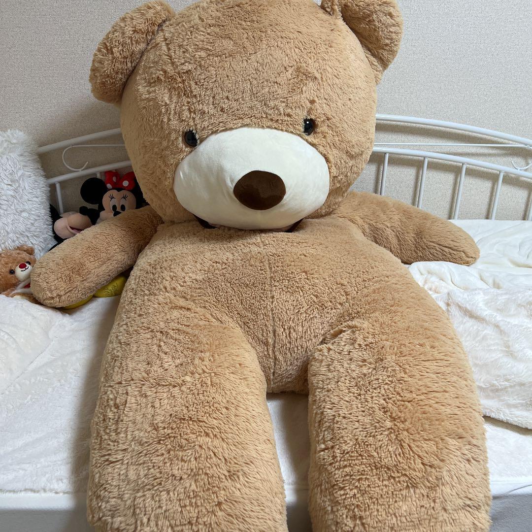 

[USED] Costco Extra Large Teddy Bear