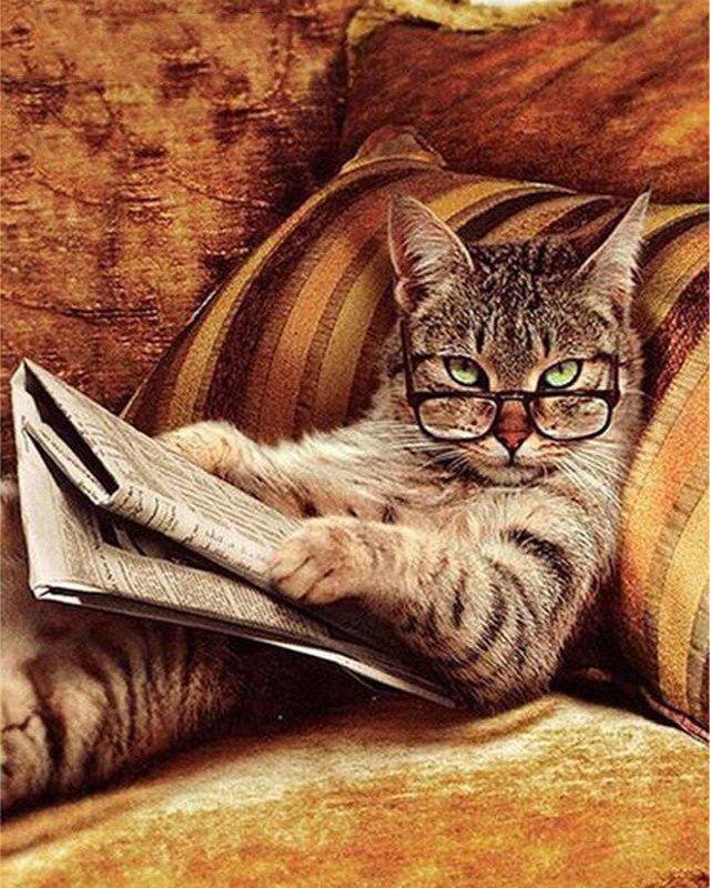 Diamond Painting Full Flower Tree Cat 5D DIY Diamond Embroidery Full Set Sale Animal Cross Stitch Rhinestones Mosaic Handicraft