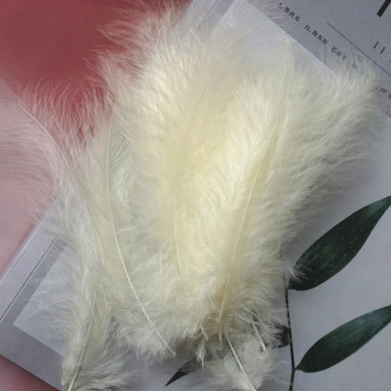 50 Pezzi Piume Naturali Piccole Galleggianti Colorate Piumette per Artigianato Matrimonio Gioielli Decorazione Casa Piume.