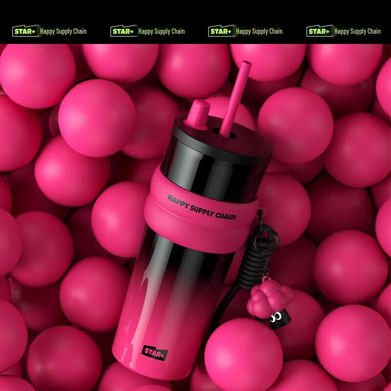 Stainless Steel Insulated Straw Travel Tumbler