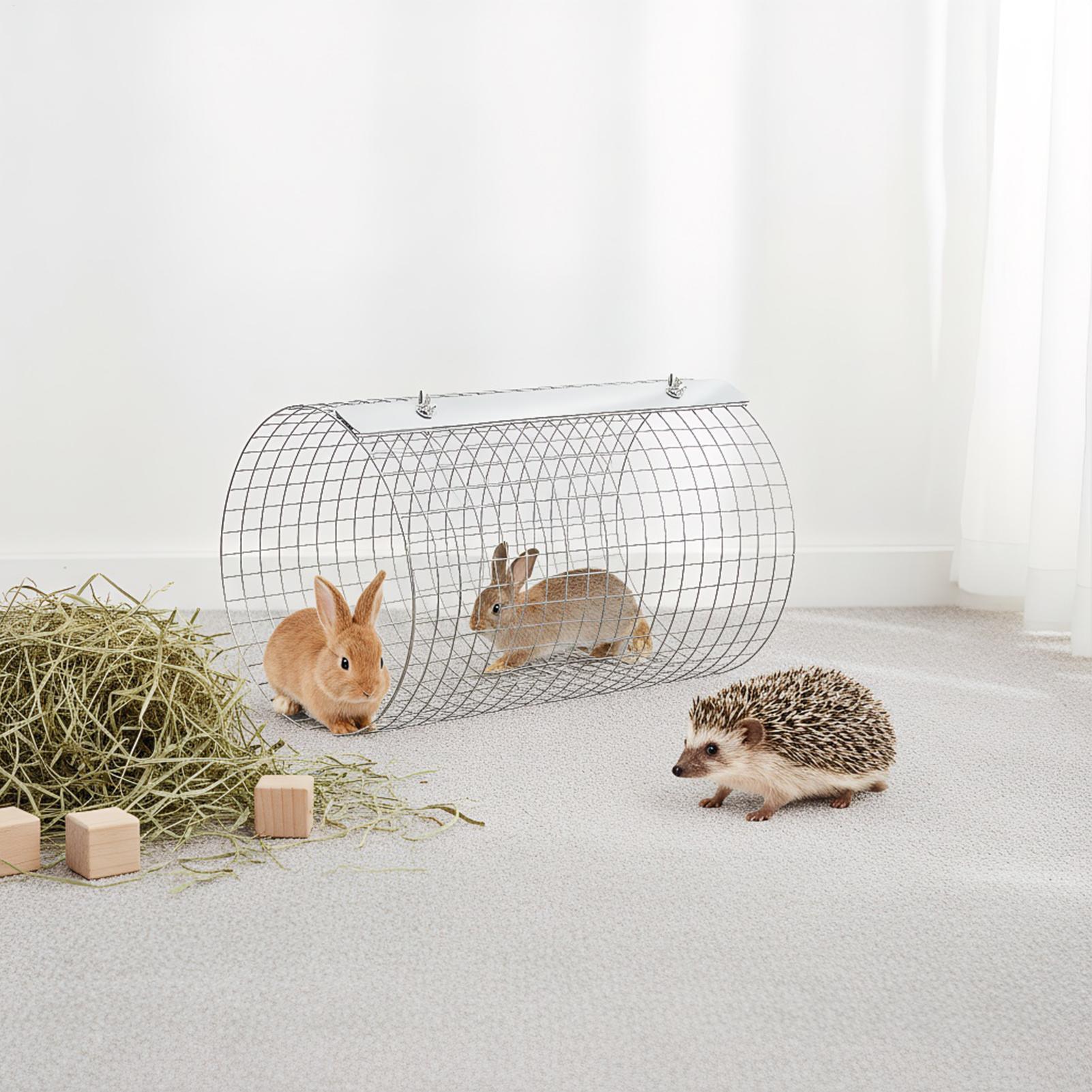 

Hamster Tunnel Breathable Metal Enrichment Toy Cage Accessories Round Pet Tube For Guinea Bunny Gerbil Hamster Ferret Hedgehog China Mainland