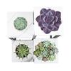 Standing flower stand, flower rack, plant pots, 4 shelves, loft style