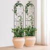2 Packs Metal Garden Trellis for Climbing Plant Support 60x15 In Rustproof