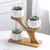 Modern Ceramic Plant Pot Bamboo Saucers Stand Holder for Home Office Decoration