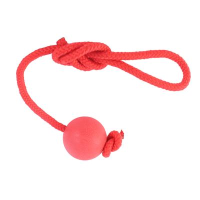 Dog Ball Rope Toy Interactive Bite Resistant Safe Dog Rubber Ball with Rope for Outdoor Training
