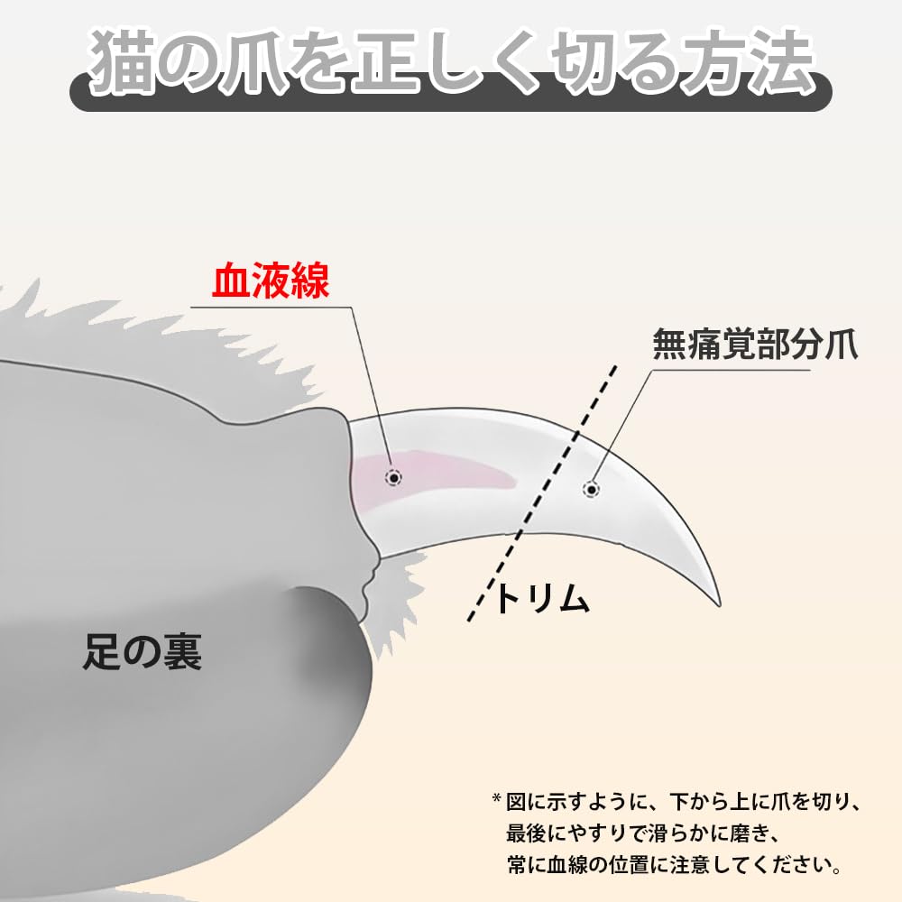 Deiboun Cat Nail Dog Nail Ingrown Nail Stainless Nipper Safe for Home Run Pet Nail Clippers Clippers, Clippers, Clippers, Steel, Type, Beginners, Pet,