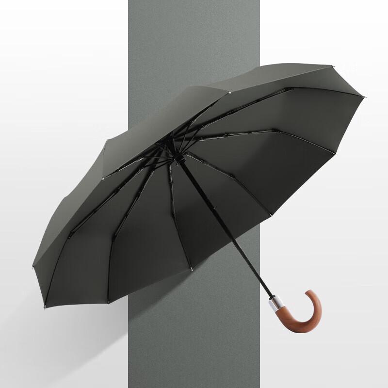 MAYDU Automatic Windproof Folding All-Weather Umbrella