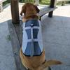 Vestuário e calçado – Coletes e blusas para cachorros