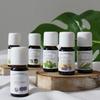 Baihyang 100% Essential Oil 10ml 11 Types of Fragrance