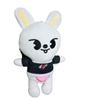 25Cm Plush Toys Kids Plush  Chan Cartoon Stuffed Animal Plushies Doll Cute Companion For Kid Adults Fans Gift