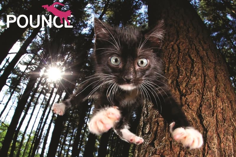 Yamasan Prime 3D Seth Castel Kočičí Chlupatý Košík 10868 Hotový 46 x 31 cm 150 Dílků Velikost /