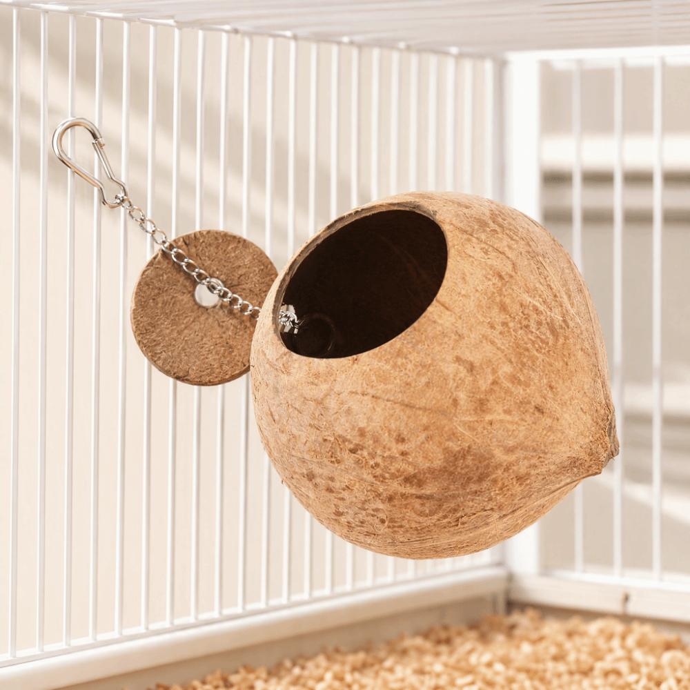 Coconut Shell Coconut Shell Birdhouse Round Entrance 6cm Sanded Finish Pet Hideaway Enclosed Design 12cm Shell Diameter