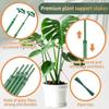 1pc Plant Flower Support Pole Climbing Plant Support Rods With Fixed Buckle For Succulent Butterfly Orchids Garden Accessories
