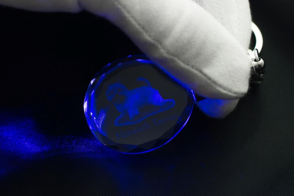 Norwich Terrier - Pendant with a Photo of a Dog, Crystal Key Ring In a Gift Box, a Unique Gift by Art-Dog