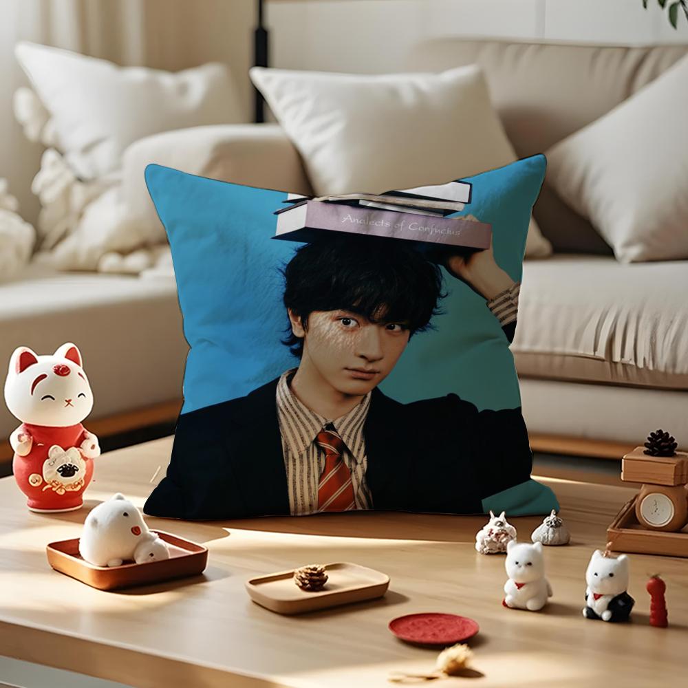 LinYi Chinese Actor Cushion Cover Anti-dustmite Pillowcase Invisible Zipper Silky Short Plush Sofa Cushion Cover