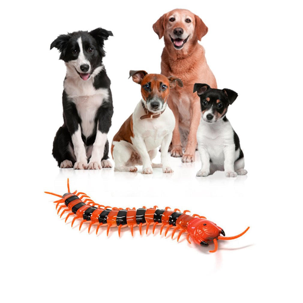centipede cat toy