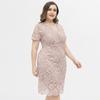 Women's Plus Size Relax Fit Shift Dress Floral Lace Scalloped V Neck Short Sleeve Midi Cocktail Party Wear Daily Work Office Occasion Outfits XL-4XL