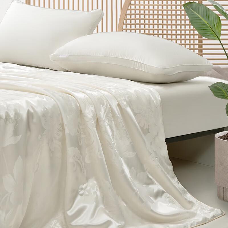 Mercury Cloud Soft Jacquard Tussah Silk Quilt