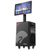 HiVi TS29 Portable KTV Trolley Speaker CN Plug (adapter Included)