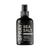 Based Sea Salt Spray, Natural Finish Sea Salt Spray For Hair, Volumizes & Texturizes,Light & Non-Greasy Hair Styling Spray for Women Men 100ml