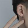 Delicate Korean Star Zinc Zinc Alloy Elegant Stud Earrings  Earrings Fashion Jewelry Earrings for Men