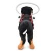 Arnés Guía para Perros Ciegos, Halo para Perros Ciegos, Anillo Anticolisión para Mascotas Para Generar Confianza, Accesorios para Perros Ciegos