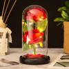Two roses glass cover LED atmosphere light Christmas ornament Valentine's Day gift ornament flower