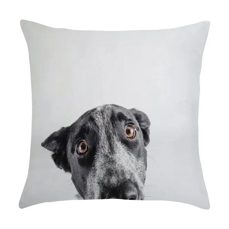 Cute Pet Puppy Black and White Art Photo Office Sofa Cushion Pillowcase