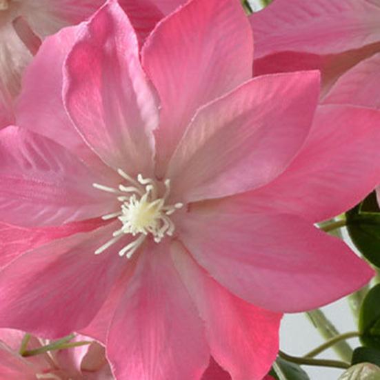 Artificial Clematis Flower 27.5" Long Stem Fake Silk Flower Branches with 3 Heads Blooms for Vase Indoor Home Table Decor Floral Arrangement