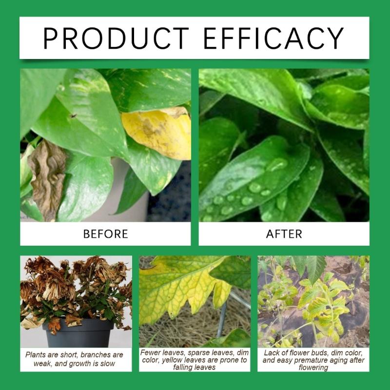 Plant Root Growth Stimulator Liquid Fertilizers Concentrate For Healthy Flowers And Trees Enhances Root Development