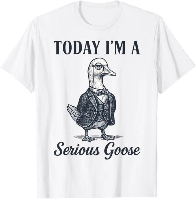 Today I m A Serious Goose T-Shirt 2XL