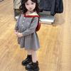 Girls Preppy Knit Dress Autumn Long Sleeve Cute Baby Skirt For Toddler And Kids