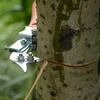 Obstbaum Ringschneider Verstellbar Garten Baumäste Schneider Rindenringelungsschneider Beschneidungswerkzeug Für Professionelle Gärtner