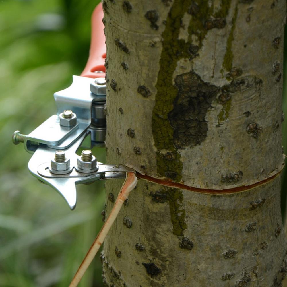 Obstbaum Ringschneider Verstellbar Garten Baumäste Schneider Rindenringelungsschneider Beschneidungswerkzeug Für Professionelle Gärtner