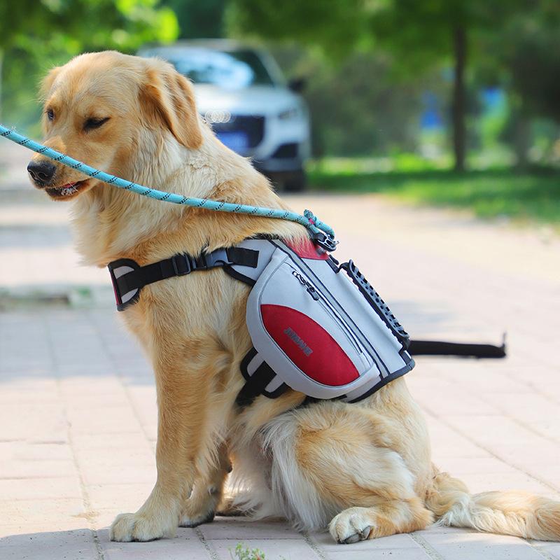 Ny husdjurshund hund självbärande ryggsäck medelstor och stor hund utomhus bärbar hundpromenad snackpåse