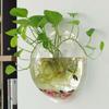 Acrylic Wall-Hanging Fish Bowl Transparent Hanging Betta Tank Wall Mounted Fish Tank  Home Decor