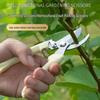 Horticultural Floral Scissors: Pruning Shears for Fruit Trees and Branches