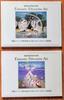 [USED] Seiji Fujishiro Shadow Art Collection (2 Volumes) Shirakaba Resort Shadow Art Museum