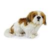 BH7030 HANSA Shih Tzu 30